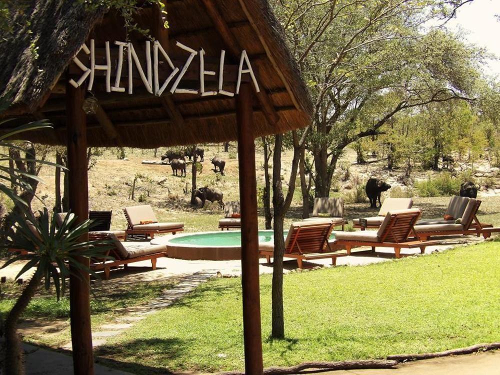 Shindzela Tented Camp Timbavati Game Reserve Exterior foto