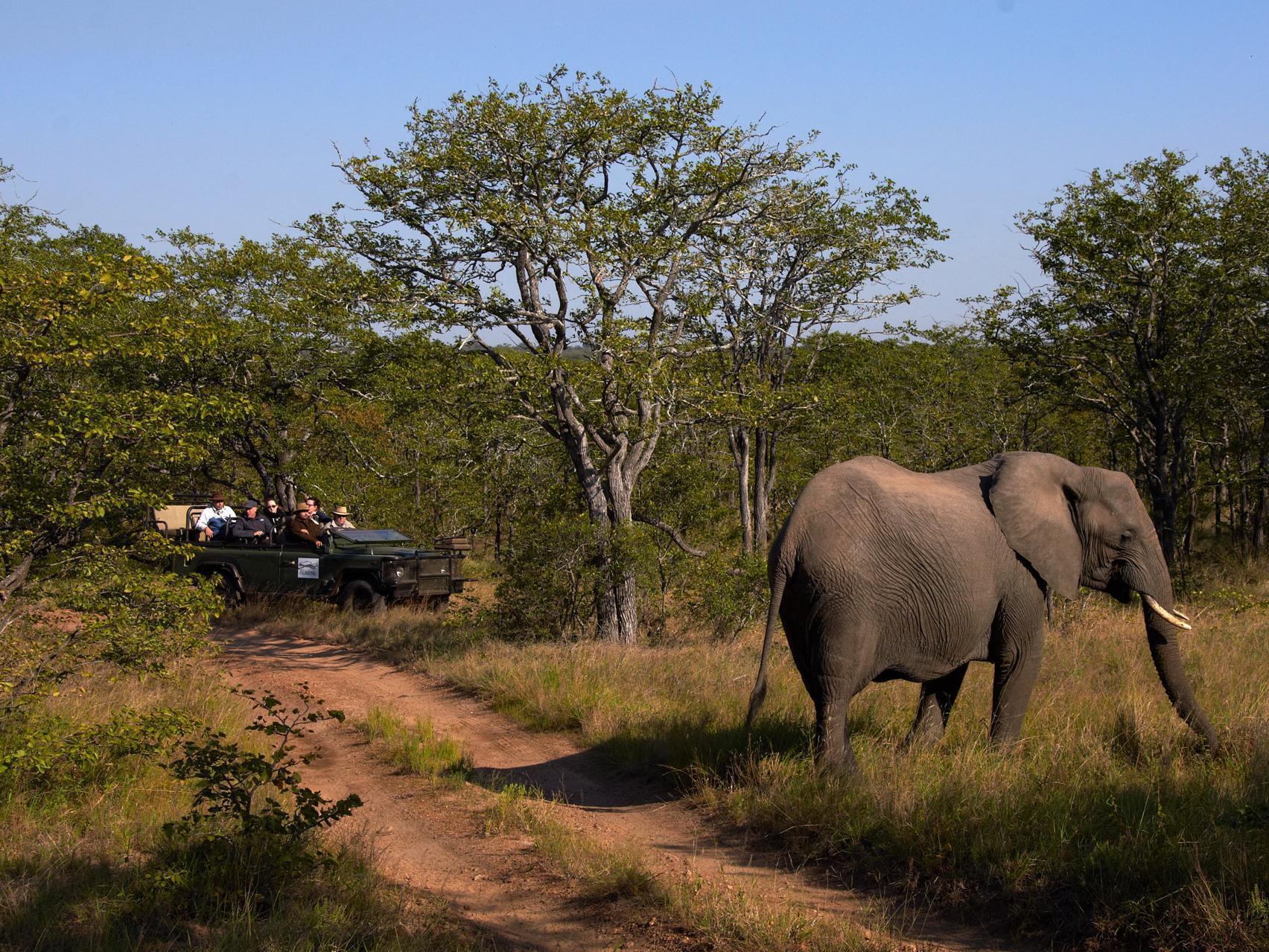 Shindzela Tented Camp Timbavati Game Reserve Exterior foto