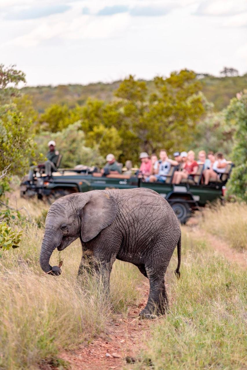 Shindzela Tented Camp Timbavati Game Reserve Exterior foto