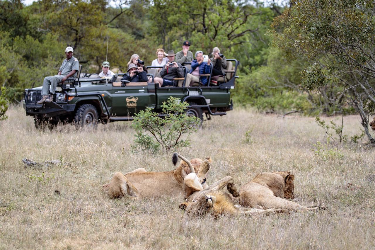 Shindzela Tented Camp Timbavati Game Reserve Exterior foto