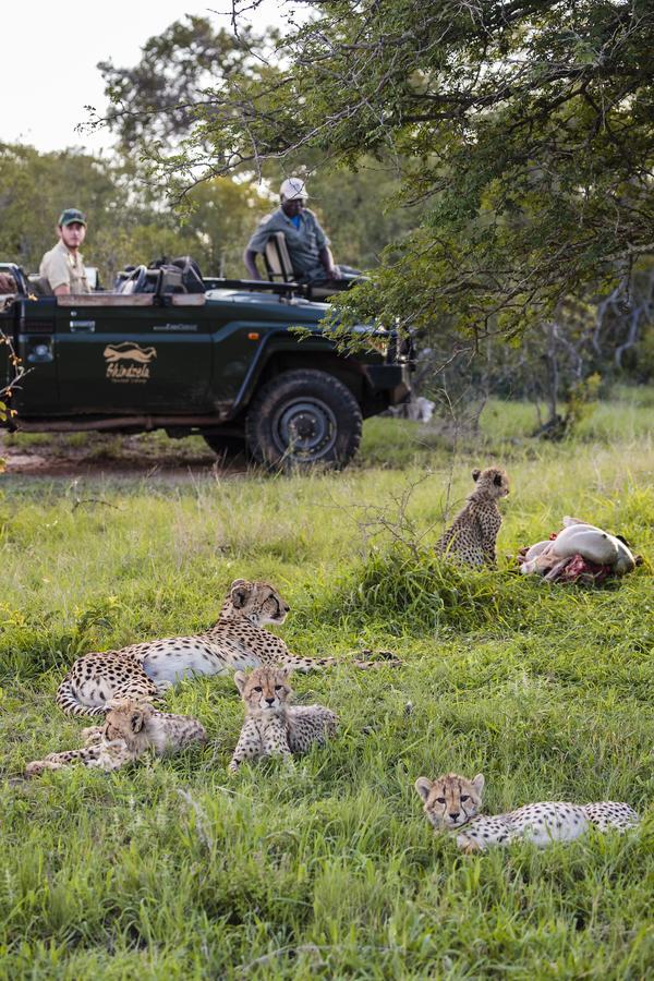 Shindzela Tented Camp Timbavati Game Reserve Exterior foto