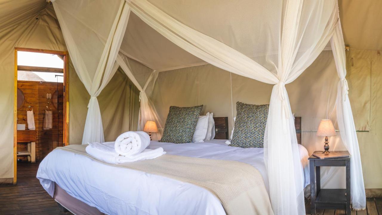 Shindzela Tented Camp Timbavati Game Reserve Exterior foto