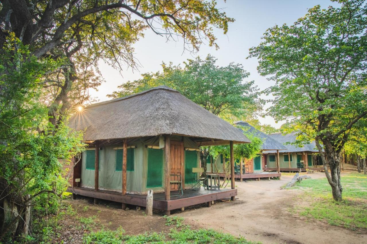 Shindzela Tented Camp Timbavati Game Reserve Exterior foto