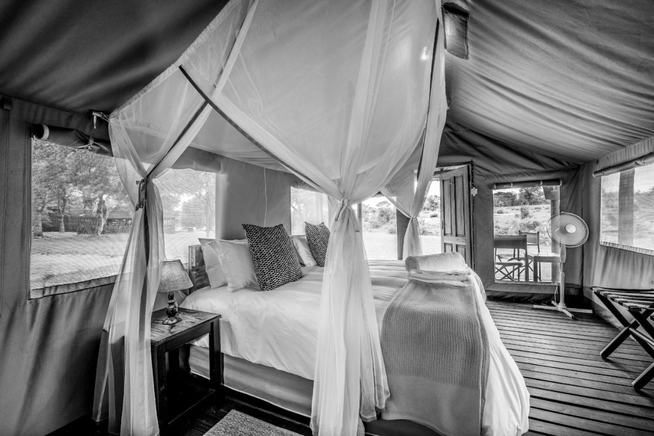 Shindzela Tented Camp Timbavati Game Reserve Exterior foto