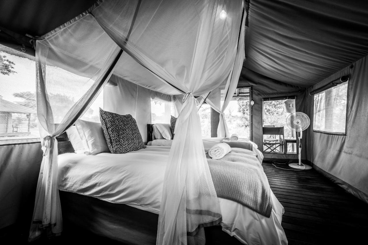Shindzela Tented Camp Timbavati Game Reserve Exterior foto